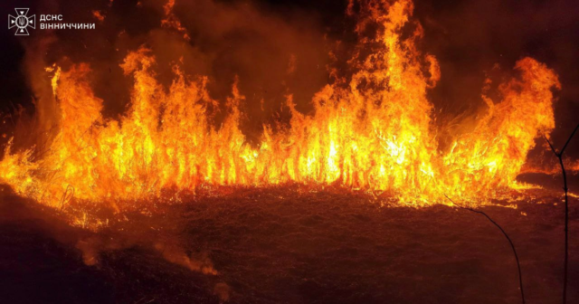 Вчора на Вінниччині зафіксували 24 пожежі в екосистемах