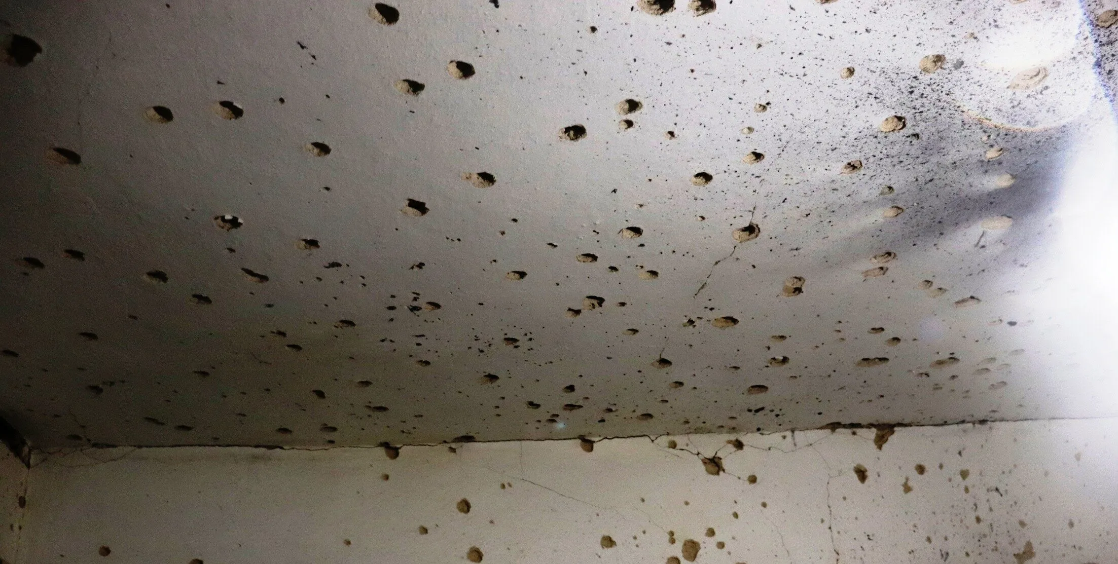 Зображення до новини