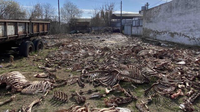 На Вінниччині виявили складування з кістками тварин на площі в 1800 квадратних метрів