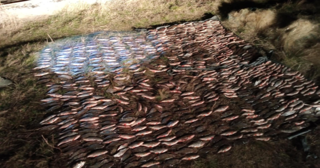 Збитків на понад 1,2 мільйона гривень: на Вінниччині виявили двох порушників, які незаконно виловлювали рибу