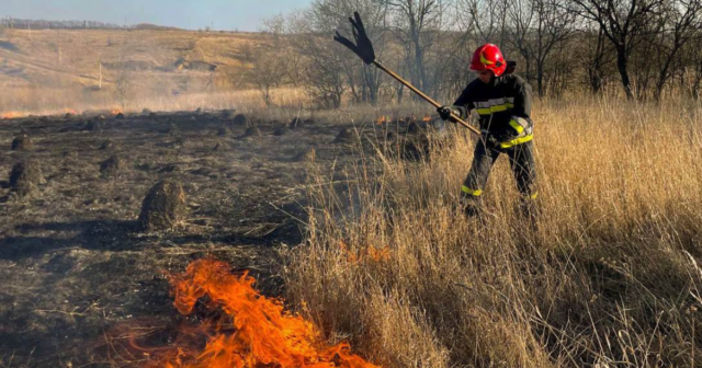 На Вінниччині минулої доби вогонь знищив близько 26 гектарів сухої рослинності