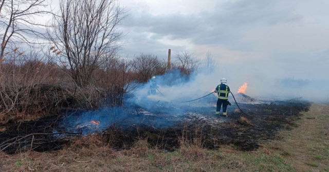 На Вінниччині протягом минулої доби ліквідували пожежі на площі понад 10 гектарів