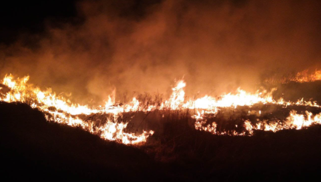 На Вінниччині ймовірно у пожежі внаслідок спалювання сухої трави загинув чоловік