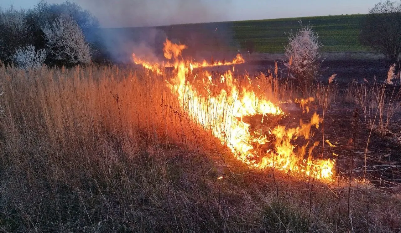 Зображення до новини