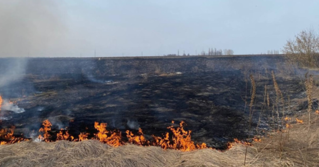 На Вінниччині вчора рятувальники ліквідували 18 пожеж в екосистемах