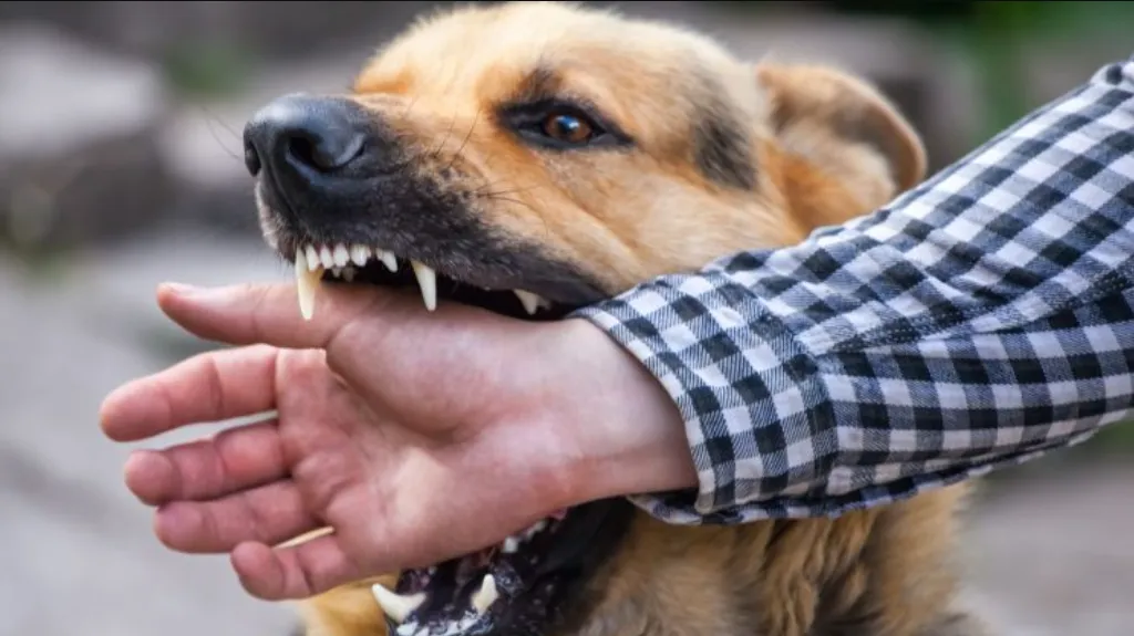 Зображення до новини