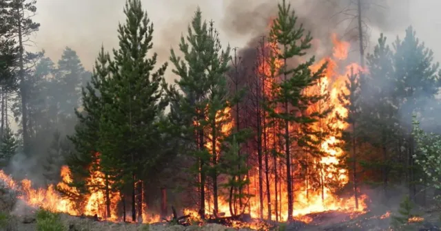 На Вінниччині протягом двох днів очікується надзвичайний рівень пожежної небезпеки