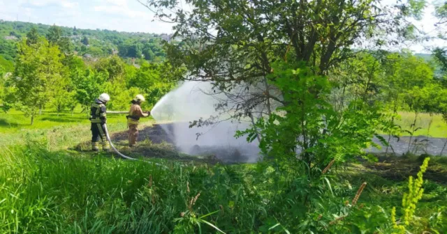 На Вінниччині минулої доби рятувальники ліквідовували пожежі на територіях площею у понад сім гектарів