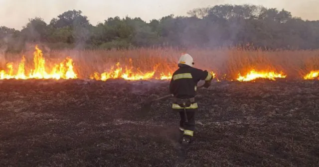Минулої доби на Вінниччині рятувальники ліквідували пожежі на площі понад 14 гектарів