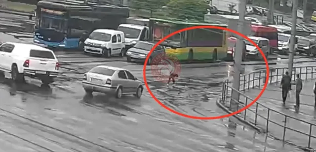 У Вінниці автівка збила жінку, яка переходила дорогу на червоне світло. ВІДЕО