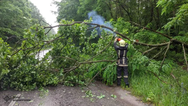 На Вінниччині рятувальники вчора девʼять разів виїжджали для прибирання повалених дерев