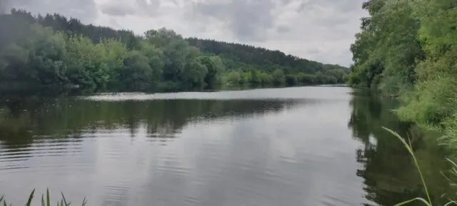 На Вінниччині у річці Південний Буг підтвердили перевищення норми азоту амонійного та знижений рівень кисню