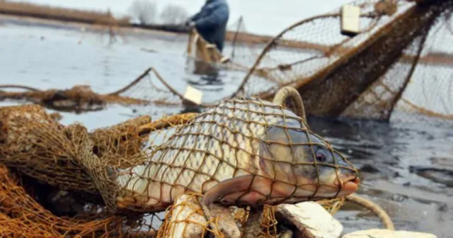На Вінниччині за незаконний вилов риби порушника зобов’язали відшкодувати понад 470 тисяч гривень