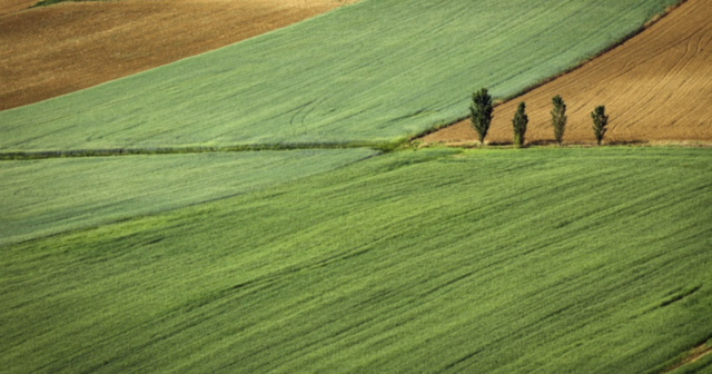 У двох громадах на Вінниччині попередили незаконне використання 52 гектарів землі