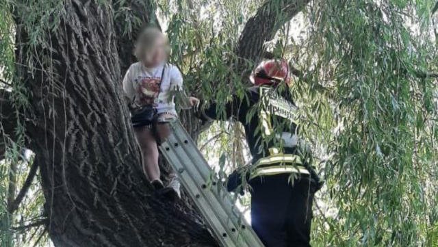 У Вінниці «надзвичайники» зняли з дерева 12-річну дівчинку