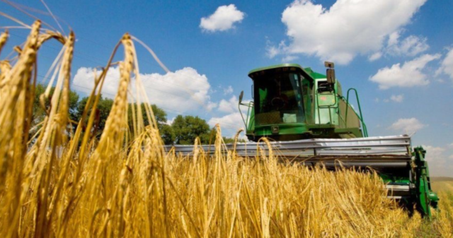 Вінниччина є лідером за врожайністю серед областей, які почали збір ранніх зернових та зернобобових культур