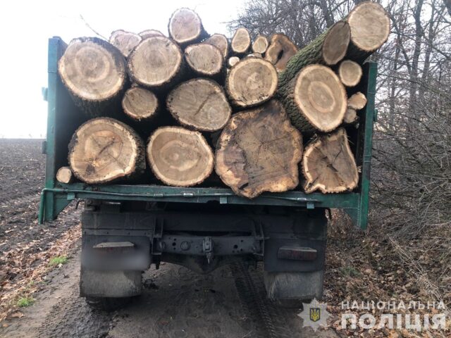 На Вінниччині повідомили про підозру учасникам злочинної групи, які займались незаконним вирубуванням дерев