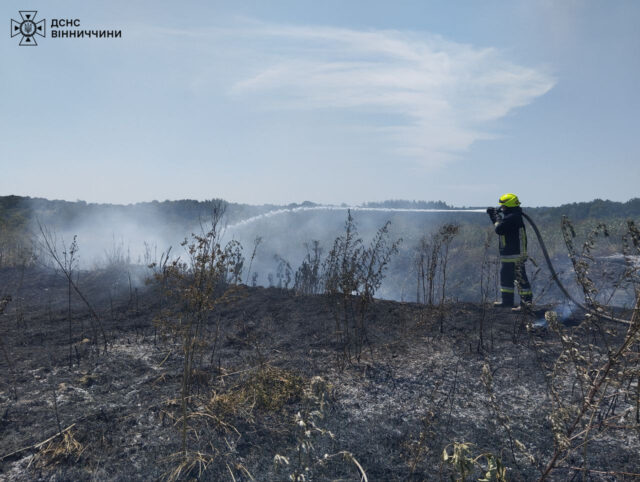 Минулої доби на Вінниччині сталося 19 пожеж в екосистемах