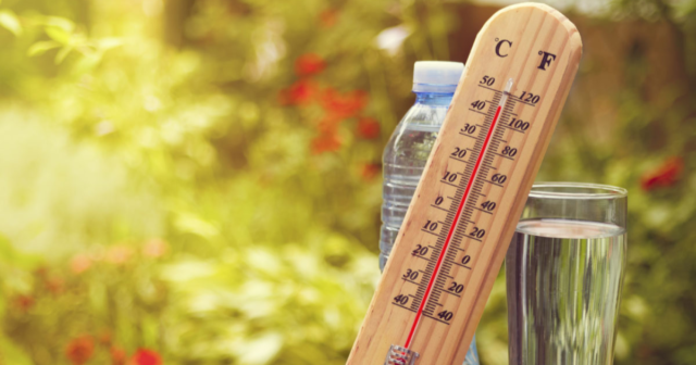 На Вінниччині завтра очікується сильна спека з максимальними температурами вдень 35-39º