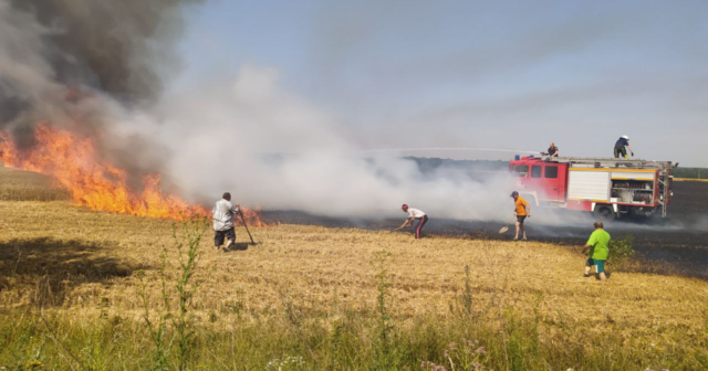 Запобігли поширенню вогню на 25 гектарів: на Вінниччині рятувальники ліквідували загоряння пшениці