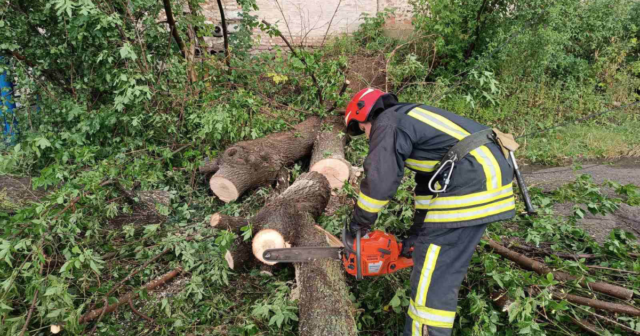 На Вінниччині рятувальники прибрали 15 дерев, які повалились на проїжджі частини доріг внаслідок негоди