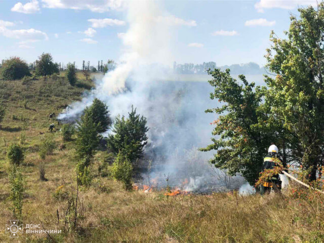 Минулої доби на Вінниччині сталось 29 пожеж в екосистемах