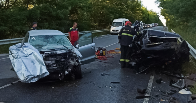 На Вінниччині внаслідок дорожньо-транспортної пригоди загинули дві водійки