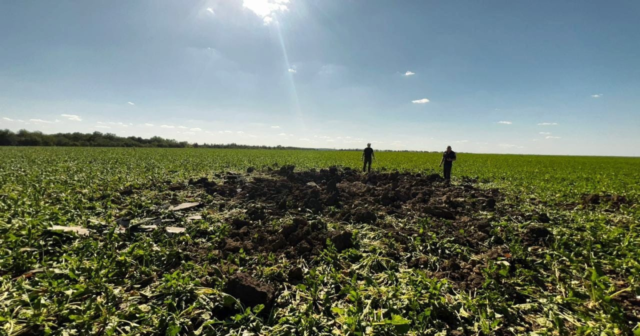 На Вінниччині внаслідок падіння безпілотників частково пошкоджений посів соняшника