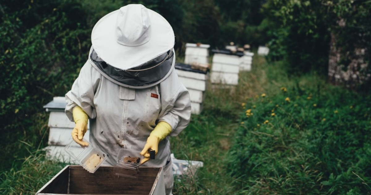Зображення до новини