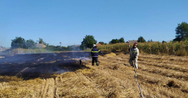 Минулої доби на Вінниччині рятувальники ліквідували 17 пожеж