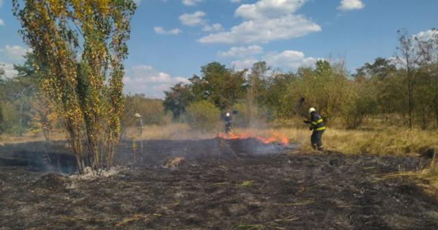 На Вінниччині минулої доби рятувальники 31 раз виїжджали на ліквідацію пожеж