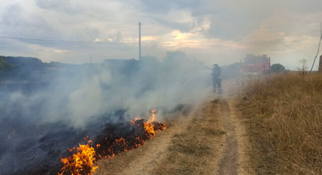 На Вінниччині через загоряння сухої рослинності зайнялась пасіка