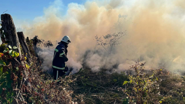 На Вінниччині минулої доби внаслідок пожеж було обпалено понад 30 гектарів ґрунту