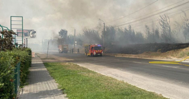 У Вінниці ліквідували пожежу на площі понад 2,5 гектара