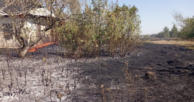 На Вінниччині рятувальники минулої доби ліквідували 55 загорянь у природних екосистемах