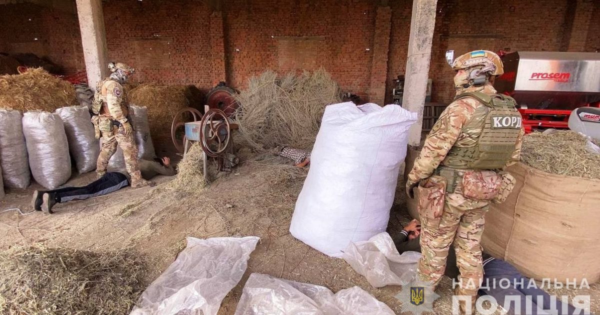 Зображення до новини