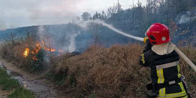 На Вінниччині минулої доби ліквідували 78 пожеж