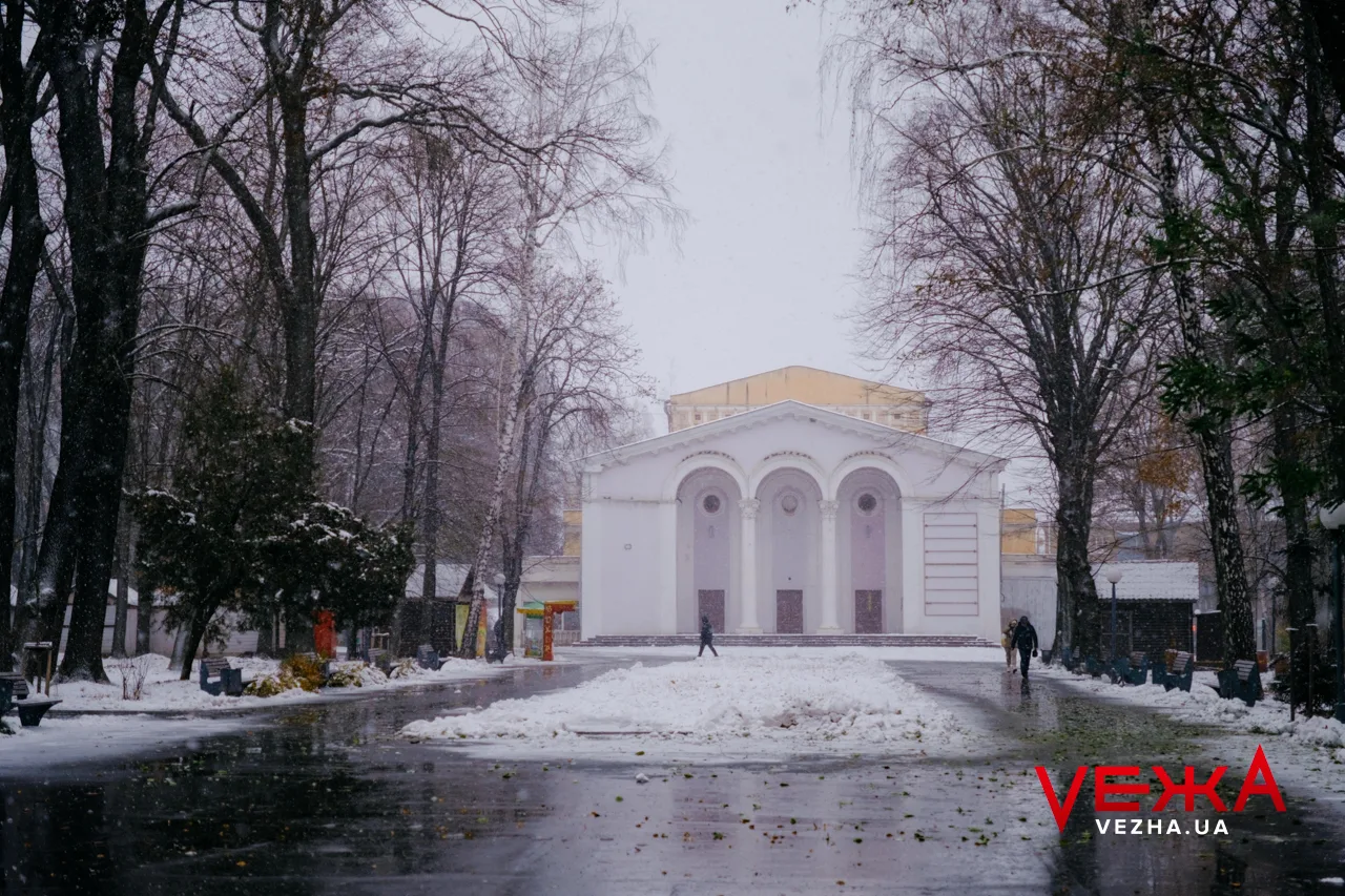 Вкриті снігом алеї та прогулянки з домашніми улюбленцями: як виглядає засніжена Вінниця. ФОТОРЕПОРТАЖ