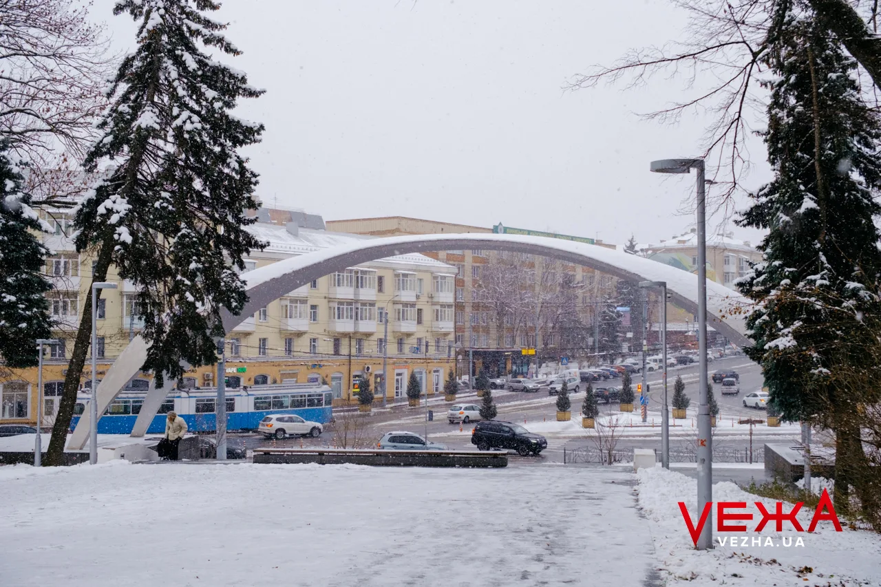 Вкриті снігом алеї та прогулянки з домашніми улюбленцями: як виглядає засніжена Вінниця. ФОТОРЕПОРТАЖ