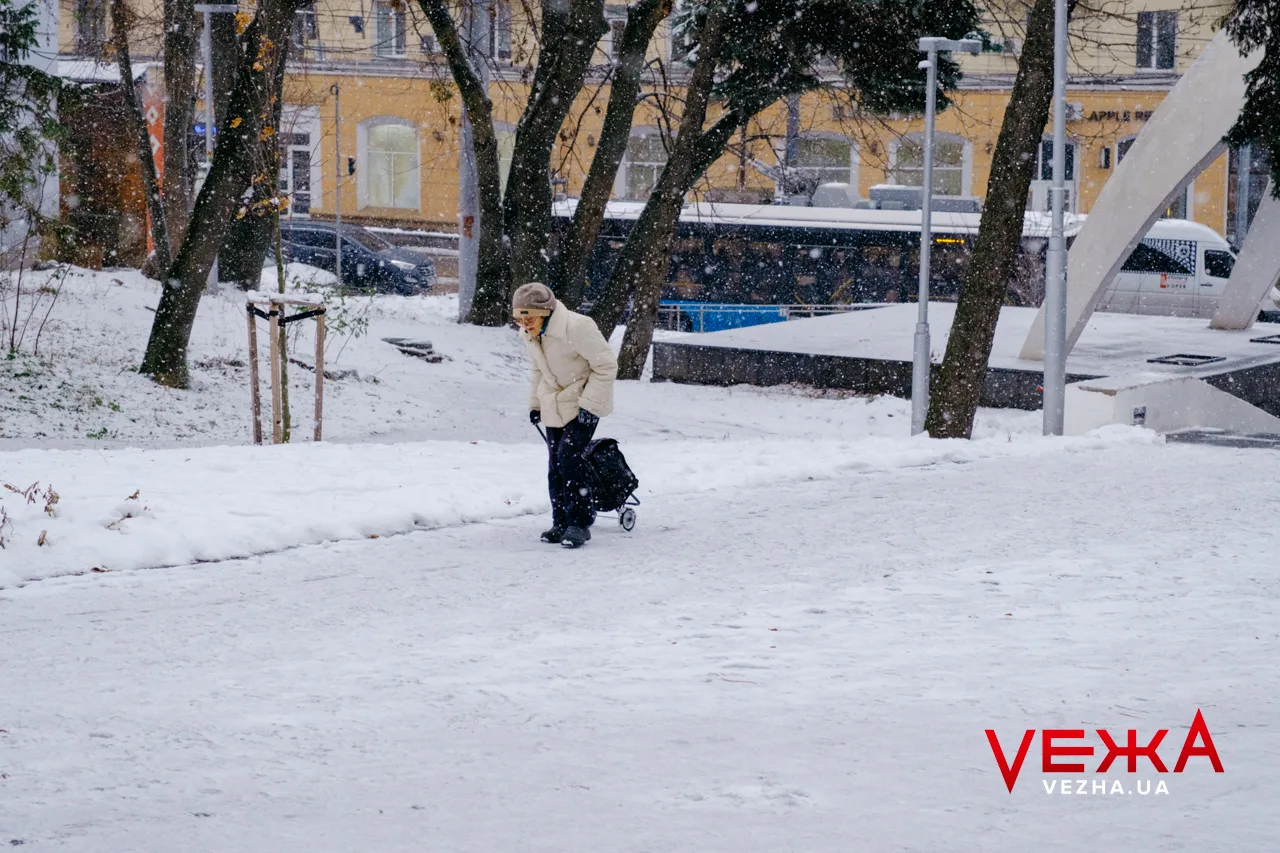 Вкриті снігом алеї та прогулянки з домашніми улюбленцями: як виглядає засніжена Вінниця. ФОТОРЕПОРТАЖ