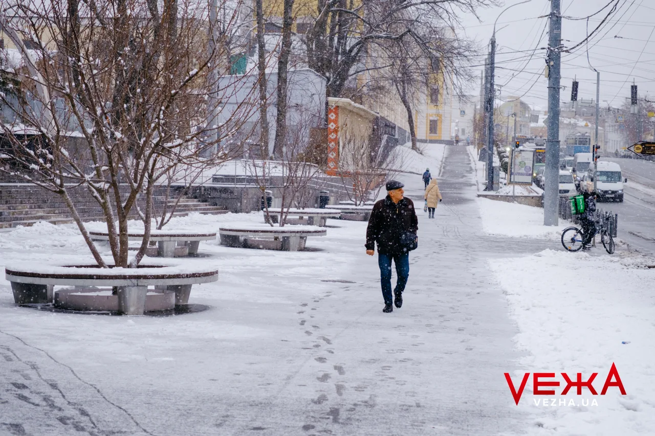 Вкриті снігом алеї та прогулянки з домашніми улюбленцями: як виглядає засніжена Вінниця. ФОТОРЕПОРТАЖ