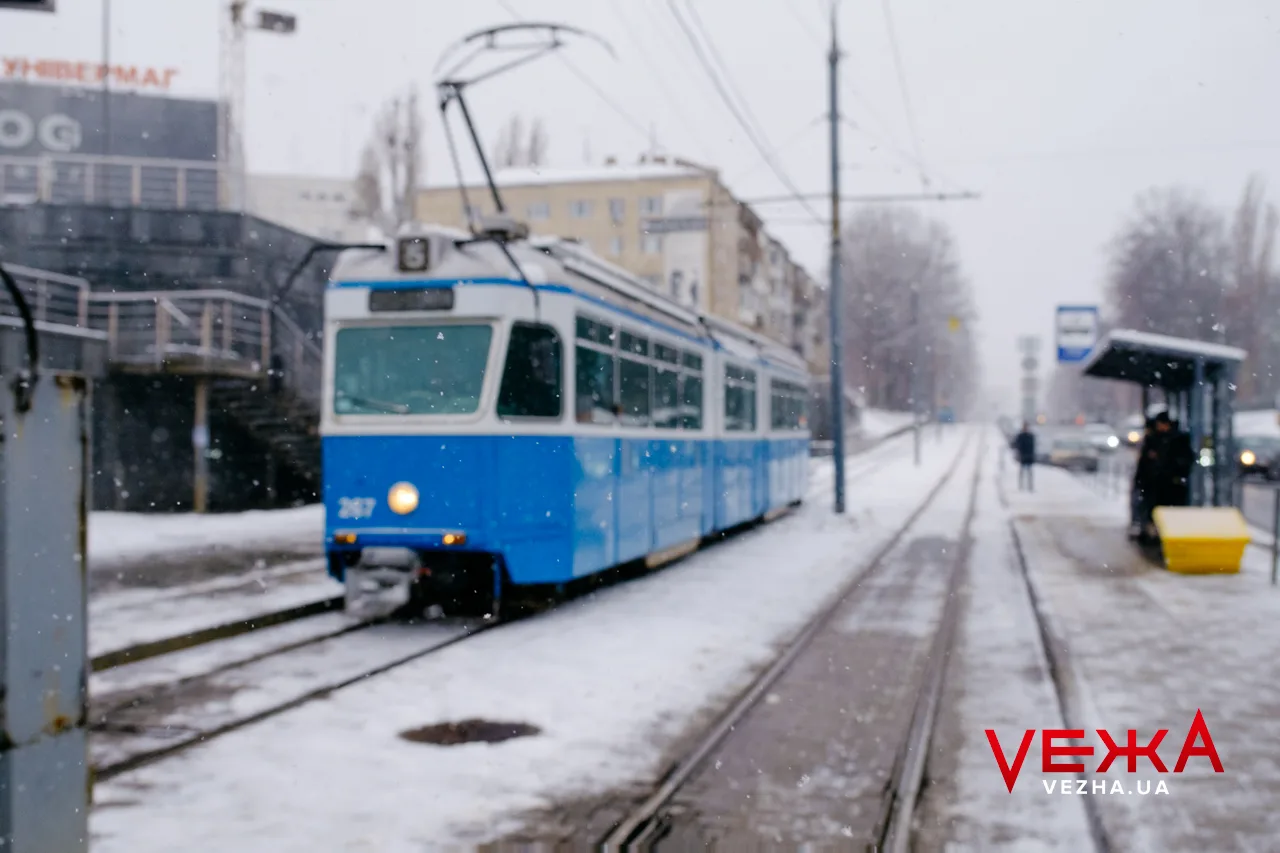 Вкриті снігом алеї та прогулянки з домашніми улюбленцями: як виглядає засніжена Вінниця. ФОТОРЕПОРТАЖ