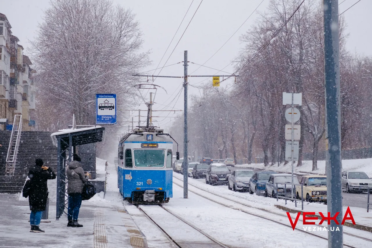 Вкриті снігом алеї та прогулянки з домашніми улюбленцями: як виглядає засніжена Вінниця. ФОТОРЕПОРТАЖ