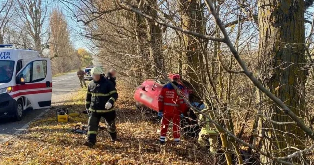 На Вінниччині в ДТП внаслідок зіткнення з деревом загинули мати та її син