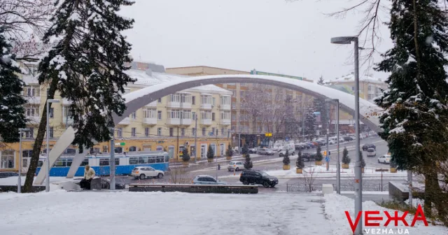 Вкриті снігом алеї та прогулянки з домашніми улюбленцями: як виглядає засніжена Вінниця. ФОТОРЕПОРТАЖ