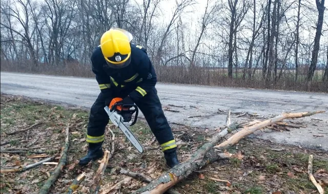 На Вінниччині 17 грудня ДСНС 11 разів виїжджала ліквідовувати наслідки негоди