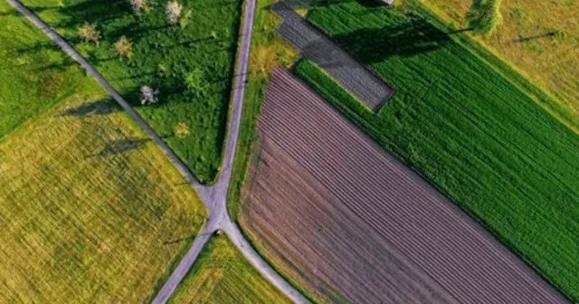 На Вінниччині припинили незаконне користування землями, які оброблялись фермерським господарством