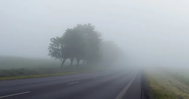 На Вінниччині впрожовж доби очікується густий туман