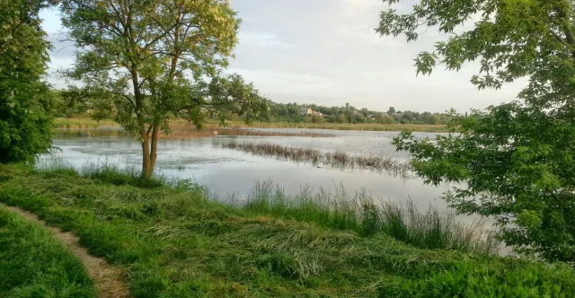 На Вінниччині мають припинити незаконне використання водойми ботанічного заказника