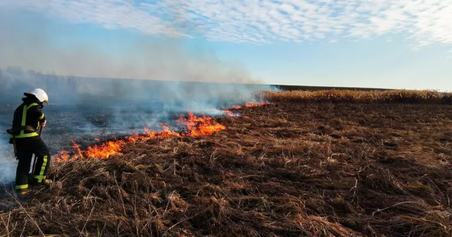 На Вінниччині за минулу добу рятувальники ліквідували 50 пожеж